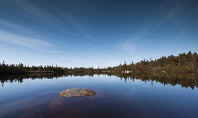 post-12278-0-52404000-1434019484_thumb.j