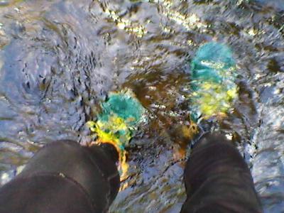 post-12580-0-74660700-1433772748_thumb.j