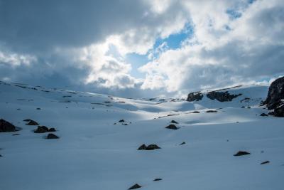 post-13206-0-48870200-1433460332_thumb.j