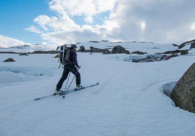 post-13206-0-60193400-1433460321_thumb.j