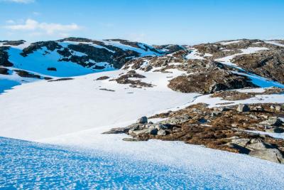 post-13206-0-70352200-1433844053_thumb.j