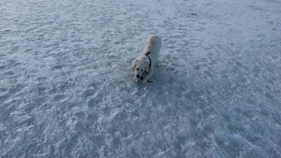 post-13614-0-79857000-1433241604_thumb.j