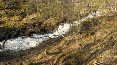 post-14074-0-09095000-1433486798_thumb.j