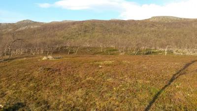 post-14074-0-26835400-1433831008_thumb.j