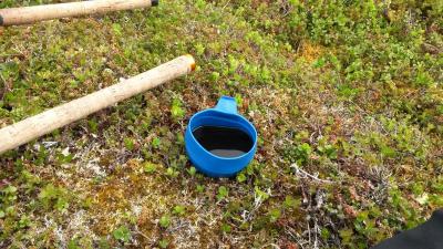 post-14074-0-59154900-1435591412_thumb.j