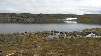 post-14074-0-68691000-1435591420_thumb.j