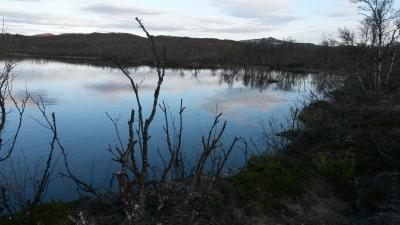 post-14074-0-71287500-1433486801_thumb.j