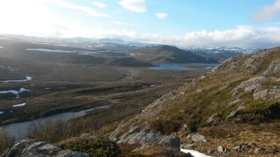 post-14074-0-80413200-1433830983_thumb.j