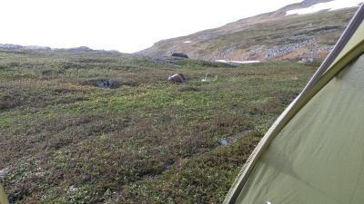 post-14074-0-92495200-1435591392_thumb.j