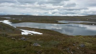 post-14074-0-96176400-1435591430_thumb.j