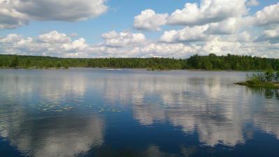 post-14478-0-17537900-1435394646_thumb.j