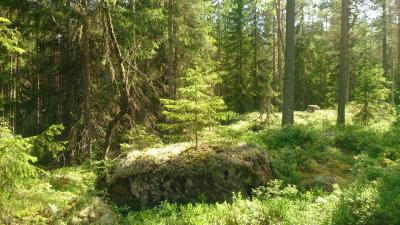 post-14478-0-59493200-1435394628_thumb.j