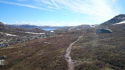 post-14684-0-02251200-1435439631_thumb.j