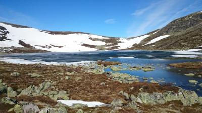 post-14684-0-39099200-1435439723_thumb.j