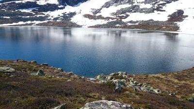 post-14684-0-39130600-1435439831_thumb.j