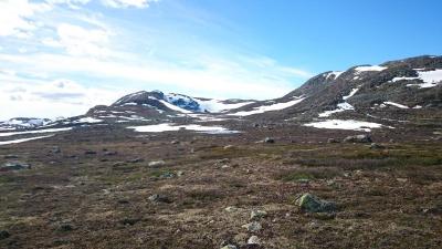 post-14684-0-81142700-1435440229_thumb.j