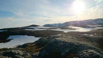 post-14684-0-82766400-1435439286_thumb.j