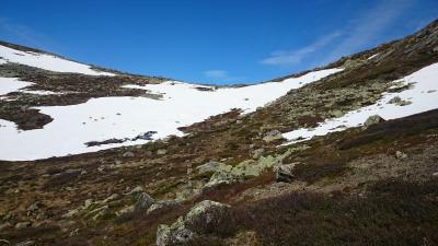 post-14684-0-87700200-1435439913_thumb.j