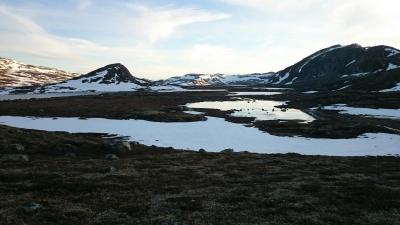 post-14684-0-88854200-1435439533_thumb.j