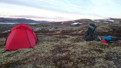 post-14684-0-99230800-1435439558_thumb.j