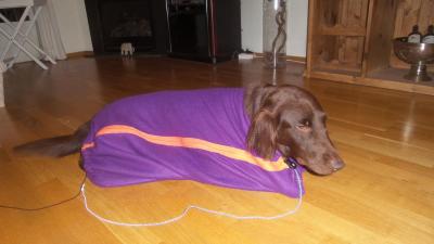 post-14793-0-64459600-1435018617_thumb.j