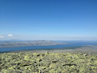 post-14924-0-07945400-1434003901_thumb.j