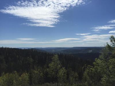 post-14924-0-19858500-1433762401_thumb.j