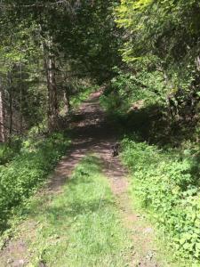 post-14924-0-74796700-1433762368_thumb.j