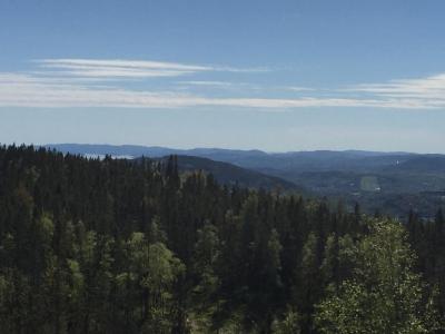 post-14924-0-96146600-1433762554_thumb.j