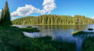 post-15860-0-16104600-1434484008_thumb.j