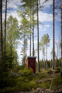 post-15860-0-37247900-1433607455_thumb.j