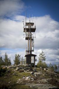 post-15860-0-42152400-1433363009_thumb.j