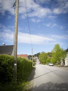 post-15860-0-74200500-1433607367_thumb.j