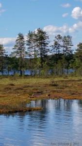 post-15860-0-90722600-1434483994_thumb.j