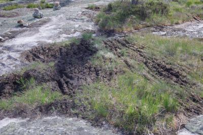 post-3118-0-25996300-1435271287_thumb.jp