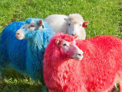 post-4220-0-54301900-1433238240_thumb.jp