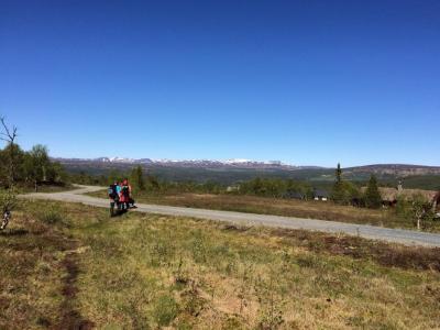 post-4444-0-98612300-1435429519_thumb.jp