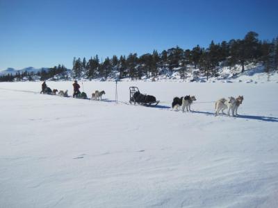 post-7299-0-26446100-1433274719_thumb.jp