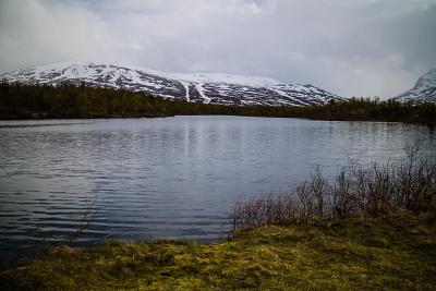 post-7687-0-22689400-1434488286_thumb.jp