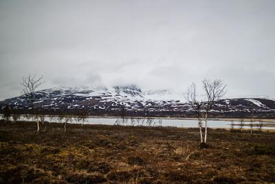 post-7687-0-73371500-1434488280_thumb.jp