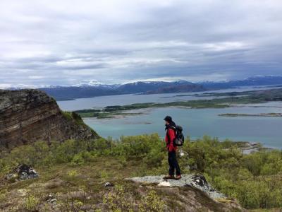 post-9562-0-13558200-1433598209_thumb.jp