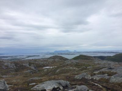 post-9562-0-62147600-1433598194_thumb.jp