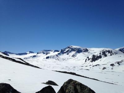 post-9702-0-02148700-1435694392_thumb.jp