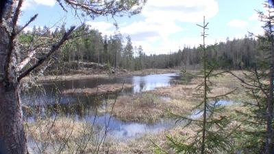 post-9907-0-07357700-1433701405_thumb.jp