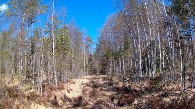 post-9907-0-73804300-1433701494_thumb.jp