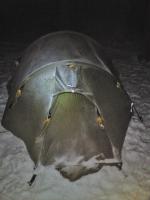 post-10080-0-80230400-1343124525_thumb.j