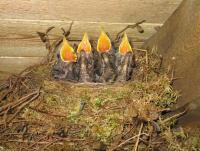 post-1108-0-05009300-1342216724_thumb.jp