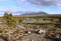 post-4016-0-31629300-1341524212_thumb.jp