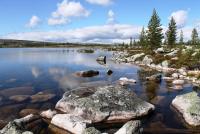 post-4016-0-35726800-1341524061_thumb.jp