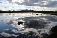 post-4016-0-48186800-1341524160_thumb.jp